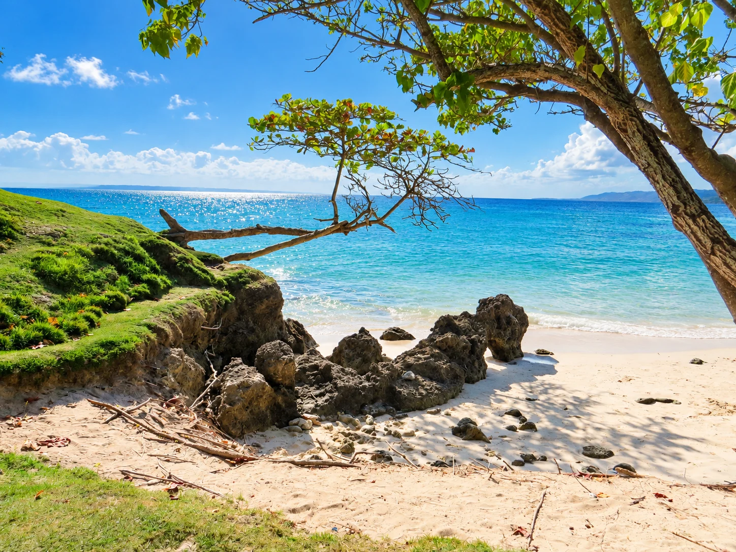 Rock formations and a sea grape tree framing a small beach — Cayo Levantado, AI-enhanced archival photograph