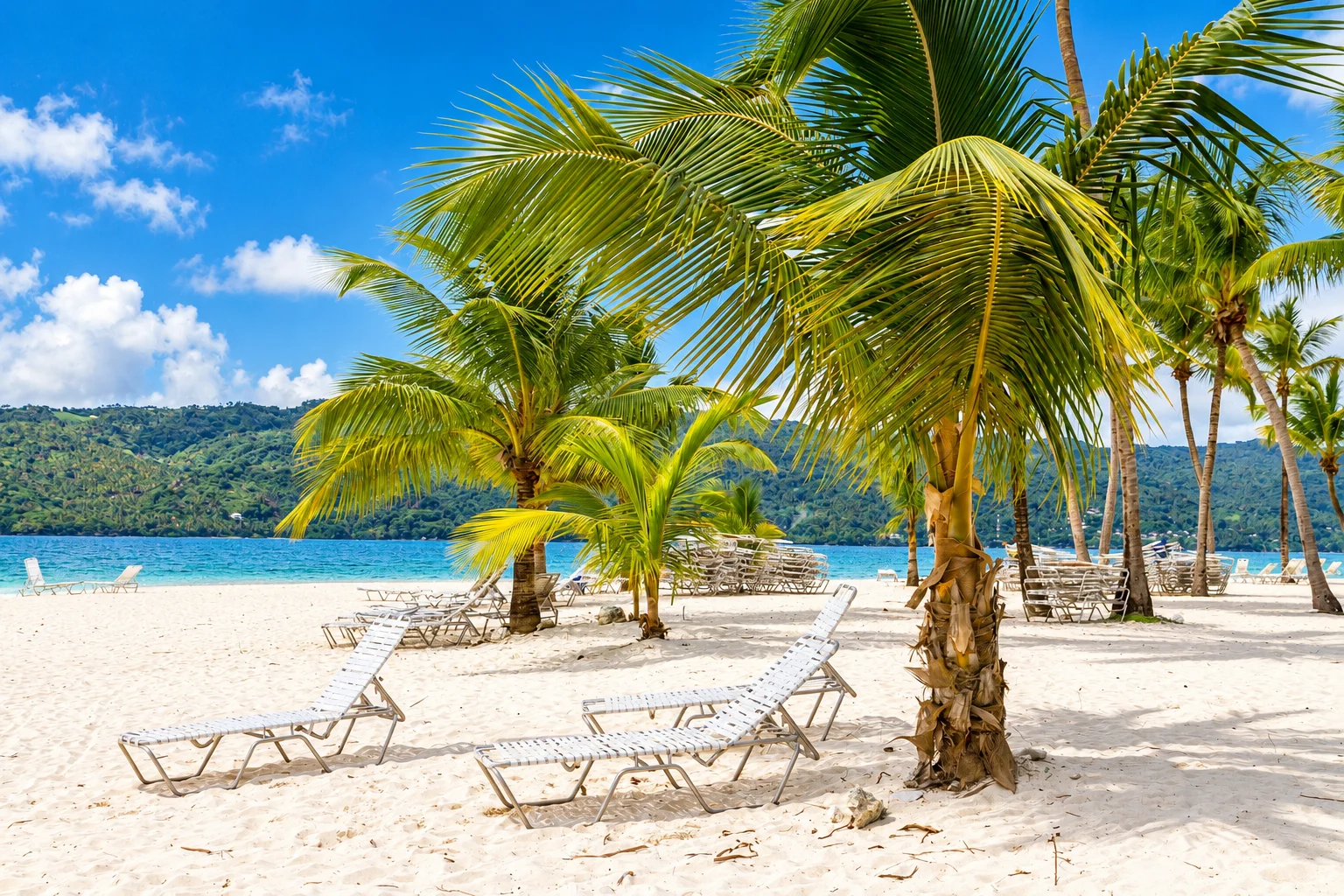 Palm fronds shading beach loungers — Cayo Levantado, AI-enhanced archival photograph