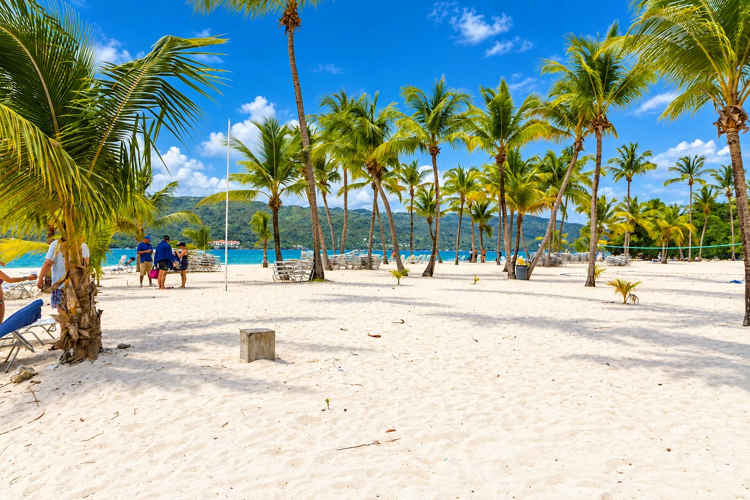 Tall palms and open beach sand — Cayo Levantado, AI-enhanced archival photograph