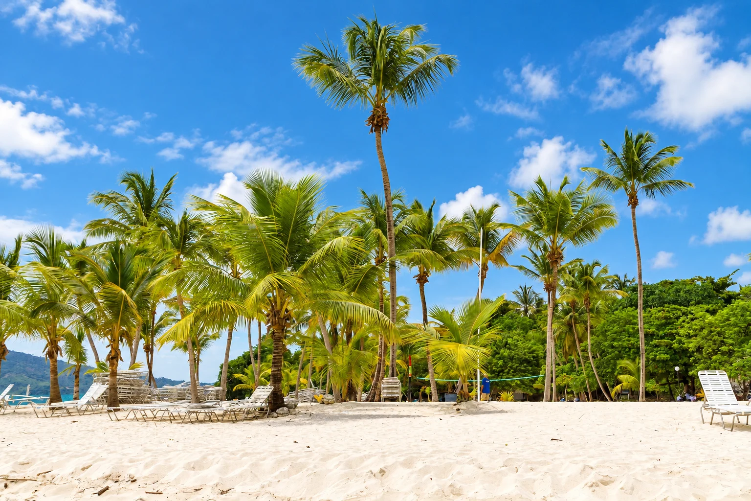 Coconut palms above the sandy beach — Cayo Levantado, AI-enhanced archival photograph